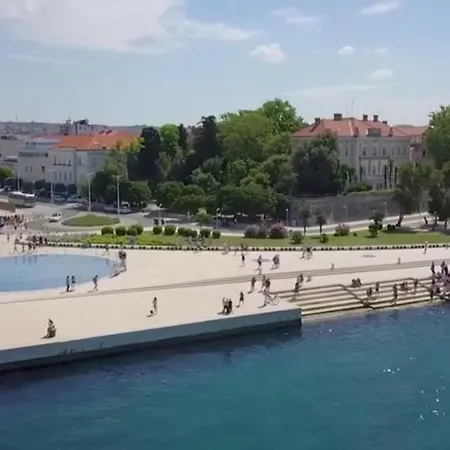 Leo Near Bridge Zadar