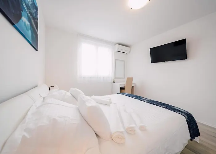 Leo Near Bridge Zadar